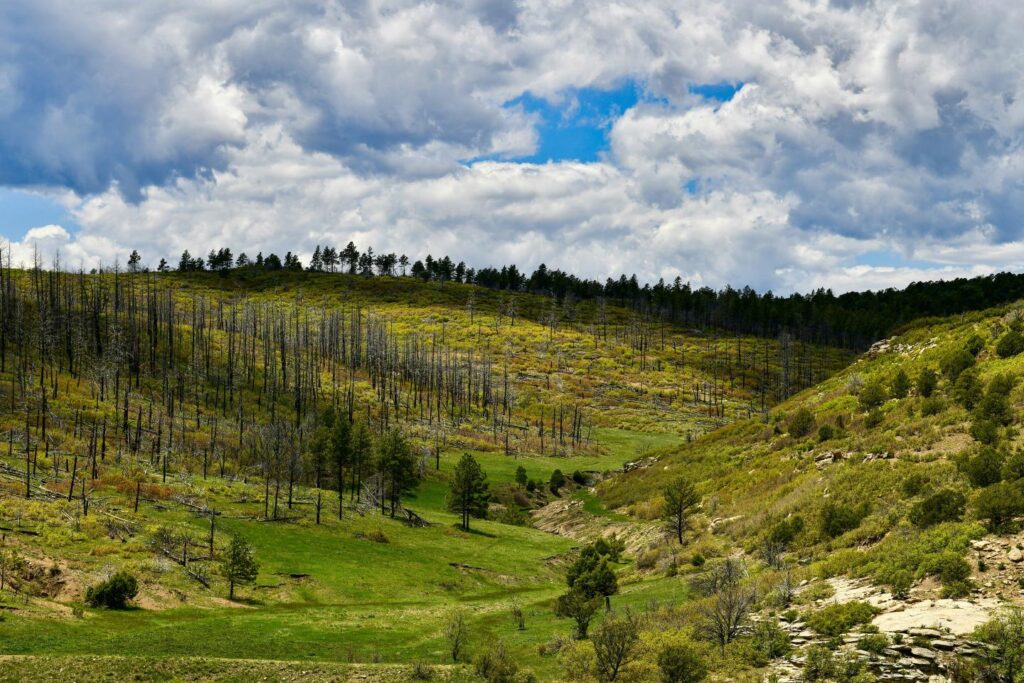 Raton New Mexico