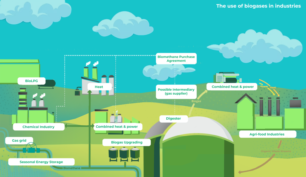 How can biogases help to decarbonise industrial processes? - Diagram
