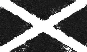 Read more about the article Scotland’s Climate Commitment: A Global Catalyst for Change