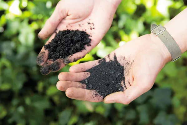 WEB 20 cCodyGantz BiocharHands GardeningWithBiochar