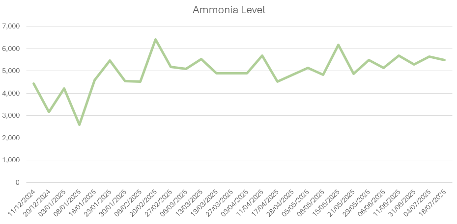 Ammonia