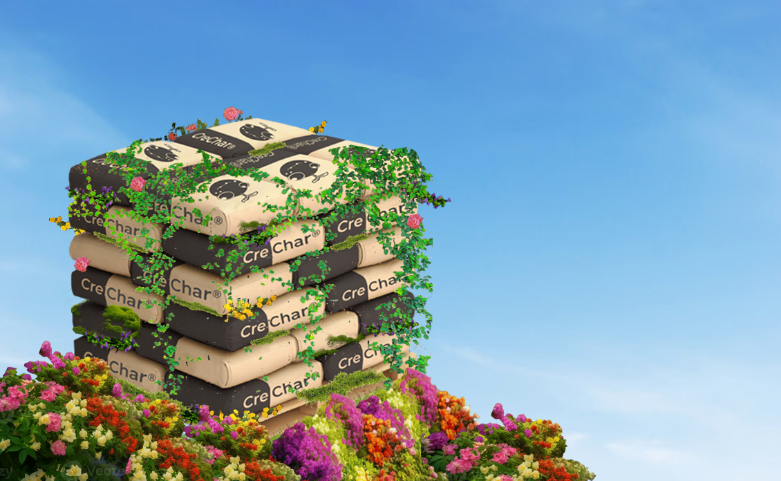 CreChar Case Study - Site F