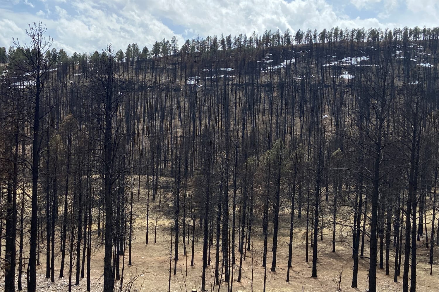 New Mexico Wild Fires